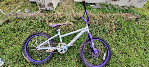 Bike, RR, NEXT, Child’s, Purple, Nr 1